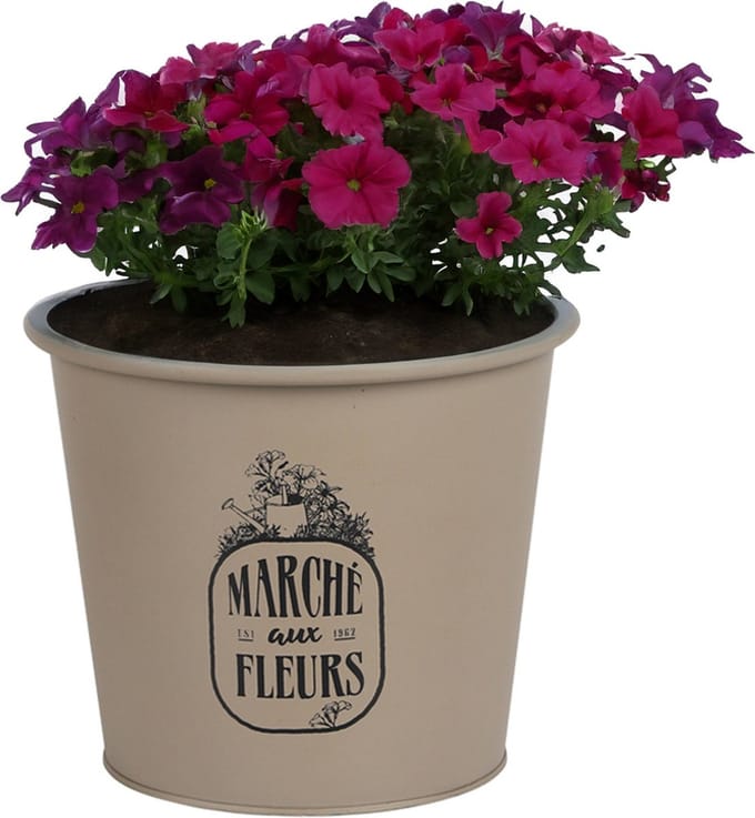 Sunnydays /plantenpot/bloempot - zink - taupe - D19 x H16 cm