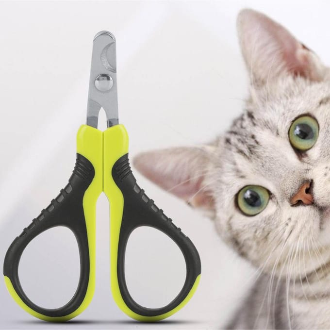 Huisdier Nagelknipper Professionele Kat Puppy Klauw Schaar voor Kleine Dieren Konijn Vogel gray