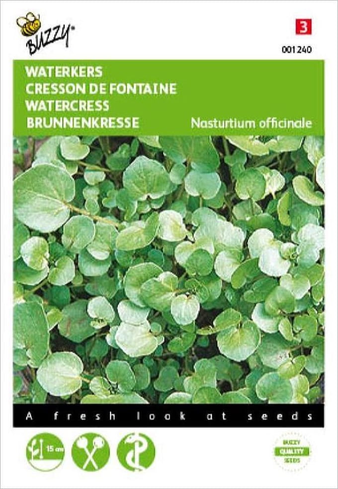 Buzzy Zaden Waterkers - Nasturtium officinalis