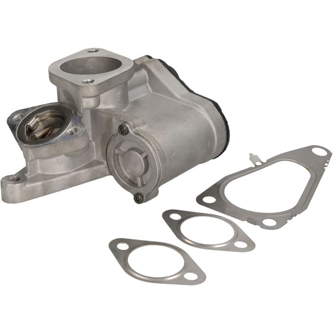 Borg Warner EGR-klep WAHLER WA710938D/1