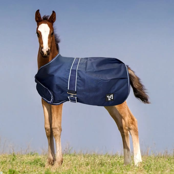 Outdoor paardendeken York Foal 100 g