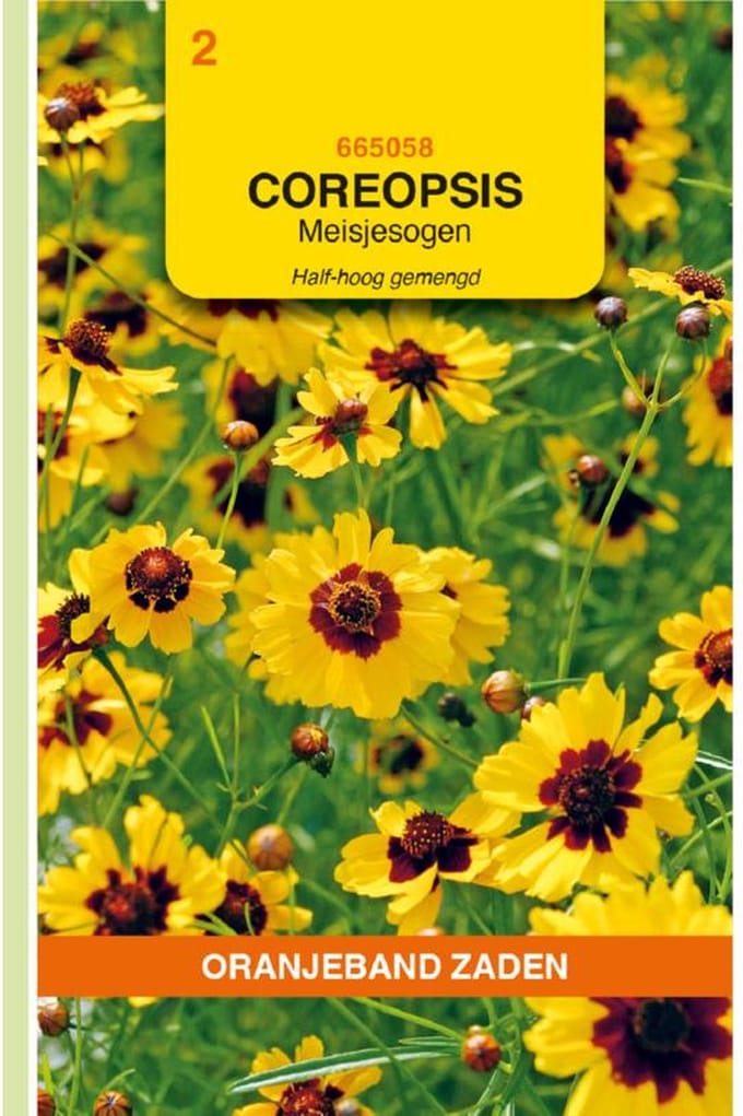 Meisjesogen Half-hoog gemengd (Coreopsis tinctoria)