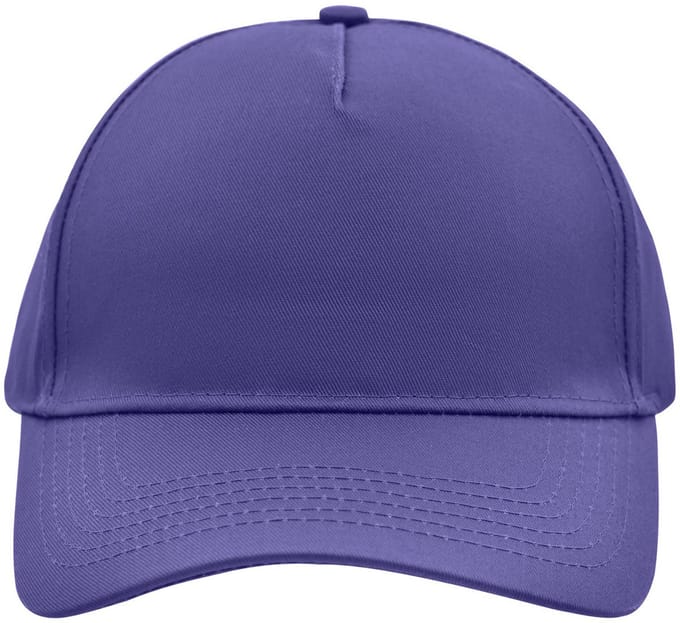 5 panel baseball pet paars