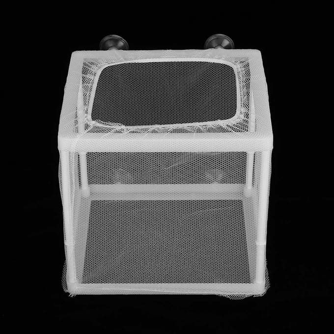 Aquarium Aquarium réservoirs boîte d'élevage petits poissons Isolation incubateur Aquariums accessoire white