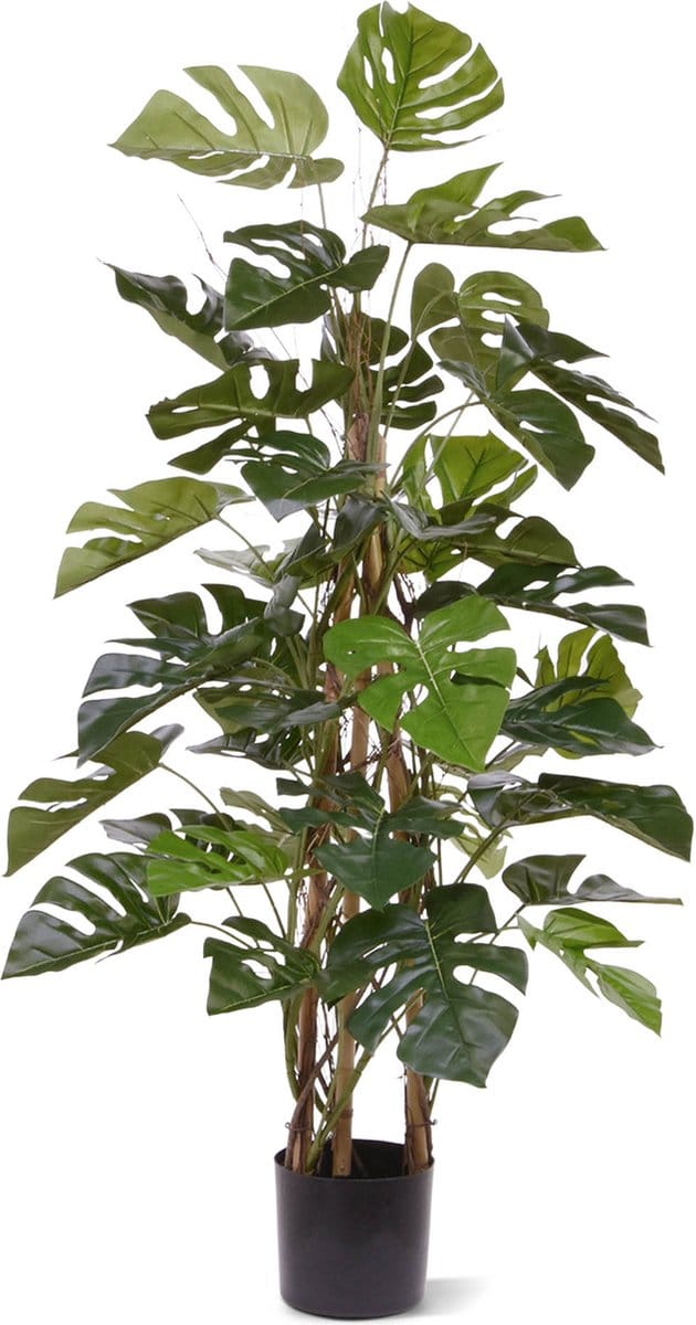 Monstera kunstplant Deluxe klimplant 120cm