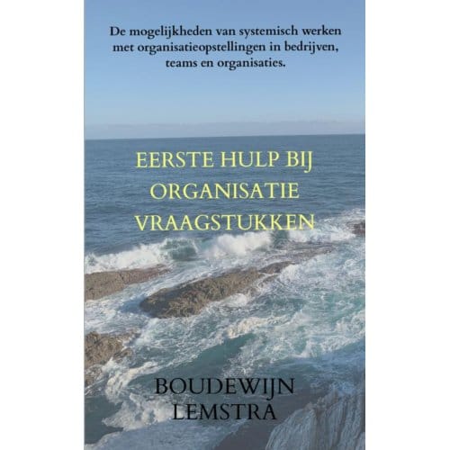 Eerste Hulp Bij Organisatievraagstukken - Boudewijn Lemstra