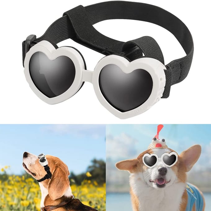 hondenbril - uv-bescherming - honden - zwart