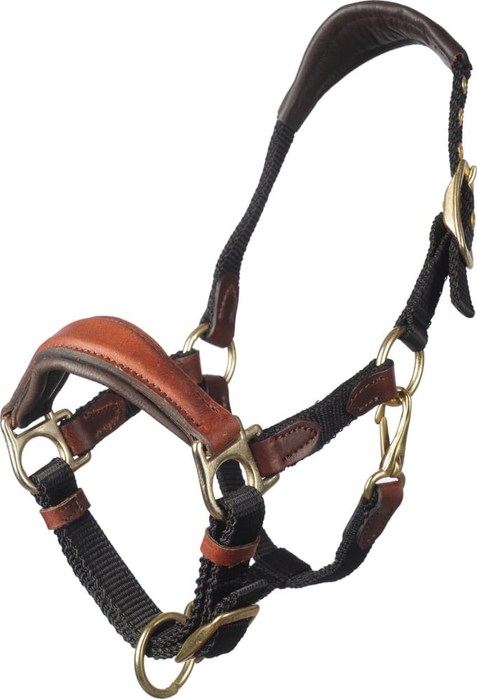 MHS Combi Halster Design Cob Zwart / Bruin