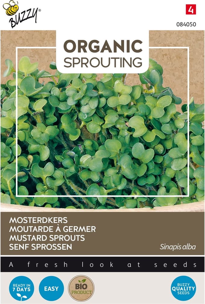 Buzzy® Organic Sprouting Mosterdkers (BIO) - Pittige microgreens voor extra smaak