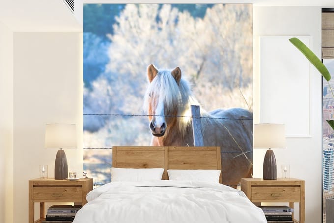 Behang - Fotobehang Paard - Winter - Sneeuw - Breedte 165 cm x hoogte 220 cm