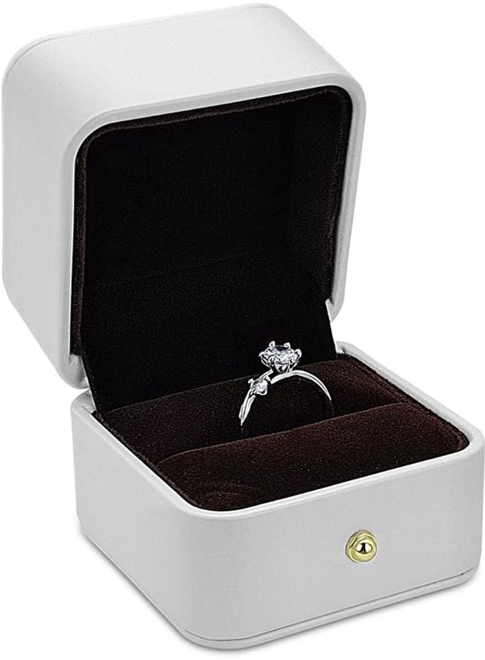 Dailygoods- Ringenbox Elegant - PU Leer - Sieradendoos - Verlovingsring - Bruiloft