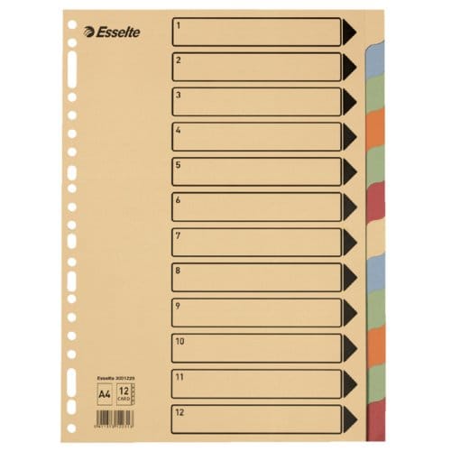 Tabbladen Esselte Premium A4 10-delig karton 23-rings assorti