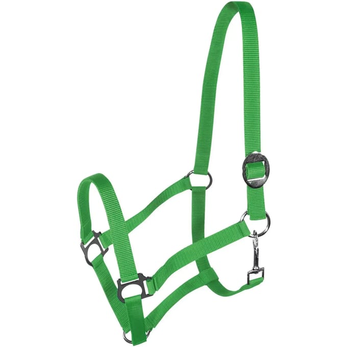 Halster voor paarden York Harmony