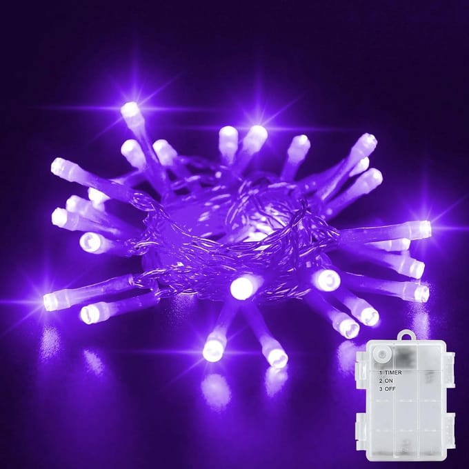 Paars Batterij Aangedreven Lichtsnoer met Timer 3 Meter 30 LED's Warm Wit Buitenverlichting