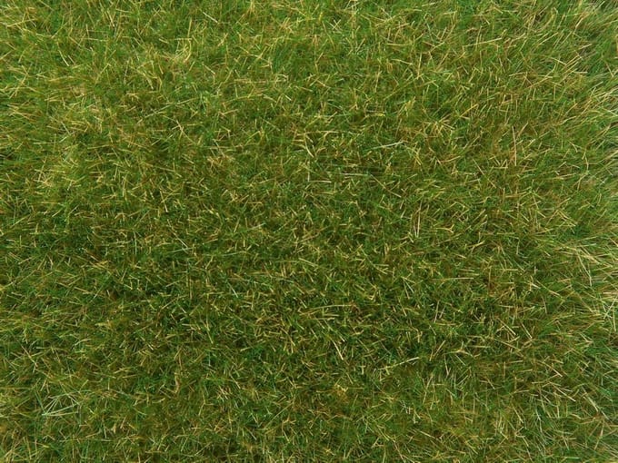 Strooimateriaal Gras - Modelbouw Gras - Landschap Creëren - Realistische Kwaliteit - 50 gram - Middelgroen