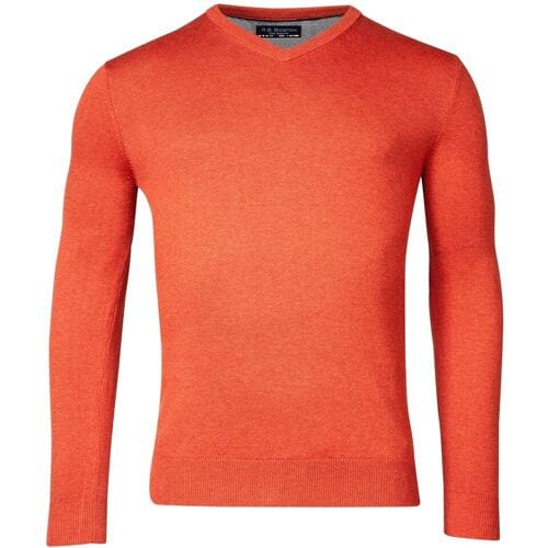 Baileys Trui Cotton Uni V-Neck Single Knit Dark Terra / male