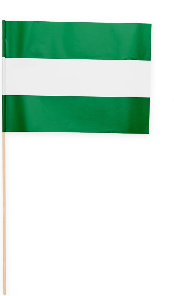 10 Papieren zwaai vlaggen 20 x 30 centimter Rotterdam
