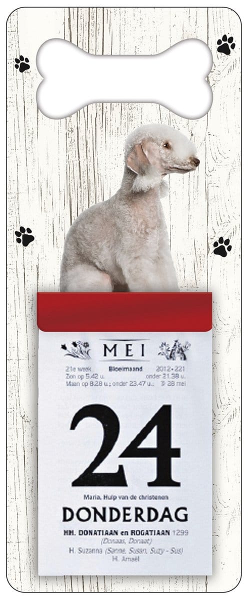 Scheurkalender 2027 Hond: Bedlington Terier