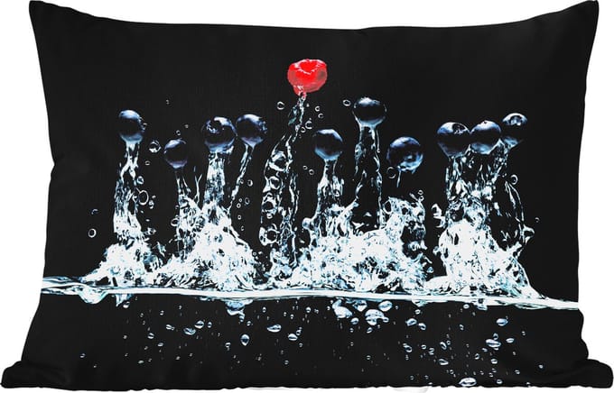 Buitenkussens - Tuin - Bessen - Water - Zwart - Fruit - Framboos - 50x30 cm
