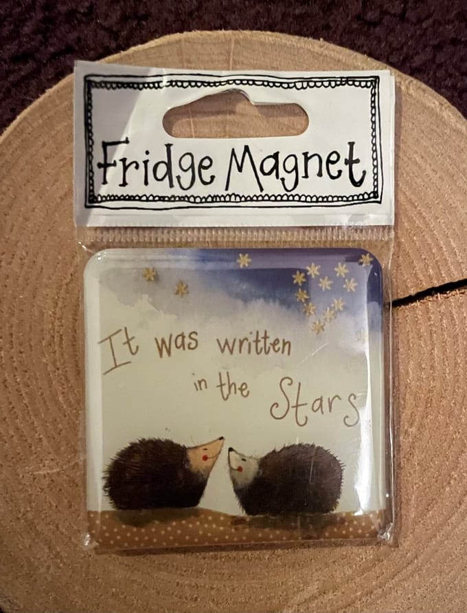 Alex Clark Stargazers Fridge Magnet ~ Koelkast magneet egels