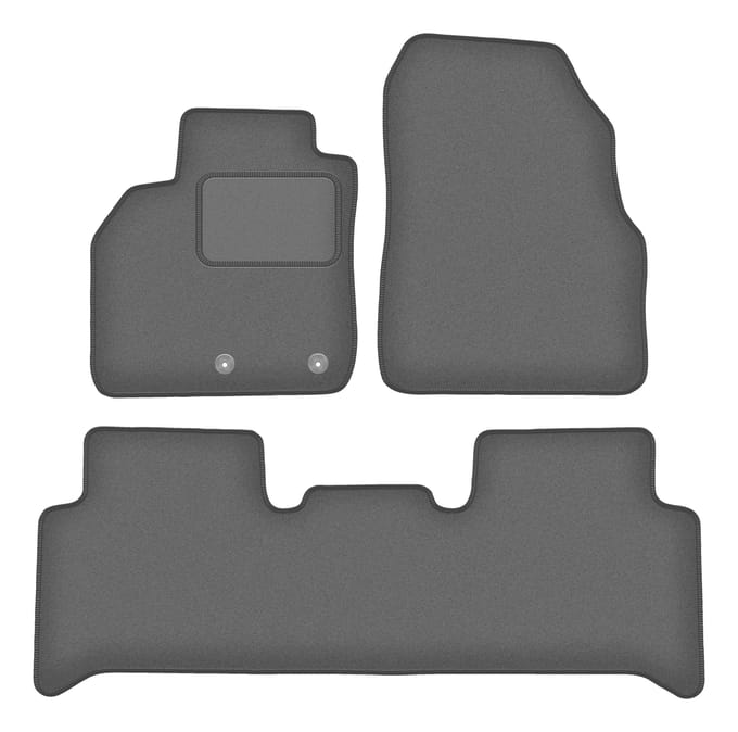 Grafiet automatten voor: Renault Scenic II minivan (2003-2009)