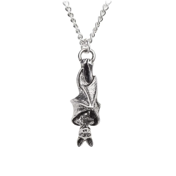 Alchemy - AWAITING THE EVENTIDE Ketting - Zilverkleurig