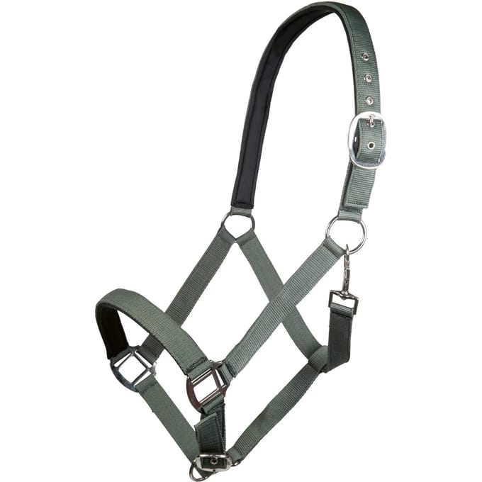 Nylon halster voor paard met zachte voering HKM Charming