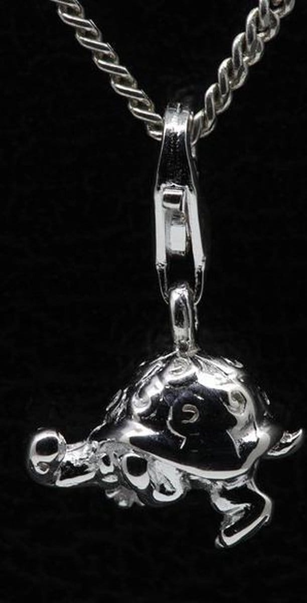 Zilveren Schildpad 3D hanger én bedel