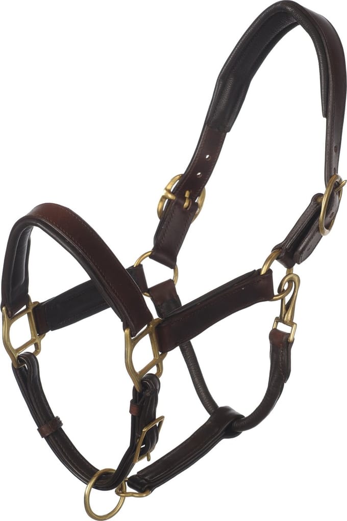 MHS Leren Halster Exclusive Mini Bruin / Goud