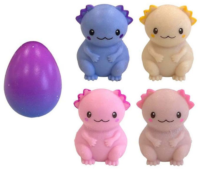 Groeiende axolotl-ei in doos