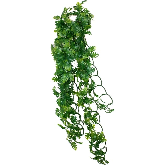 Reptielen schuilplaats Komodo Split Philodendron Plant
