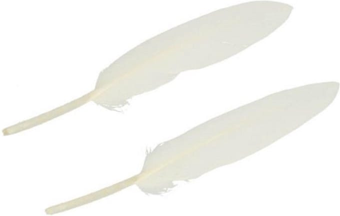 Hobbyveren - Knutselveren -  Wit  - 11-15cm - 20 stuks