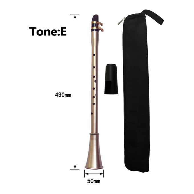 Saxophone de poche ABS, Mini Saxophone Portable, petit Saxophone avec sac de transport, vent de bois C gray