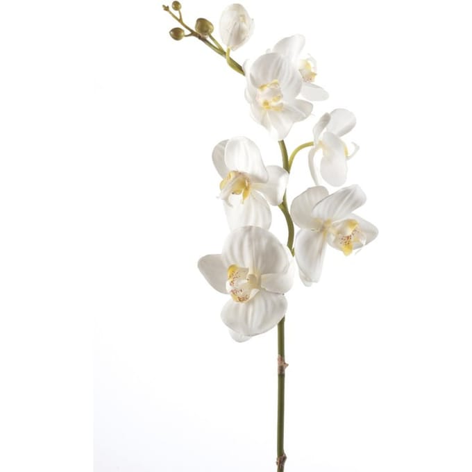 Emerald - Phalaenopsistak - Orchidee - Kunstbloem - 75 cm - 1 stuks - Creme