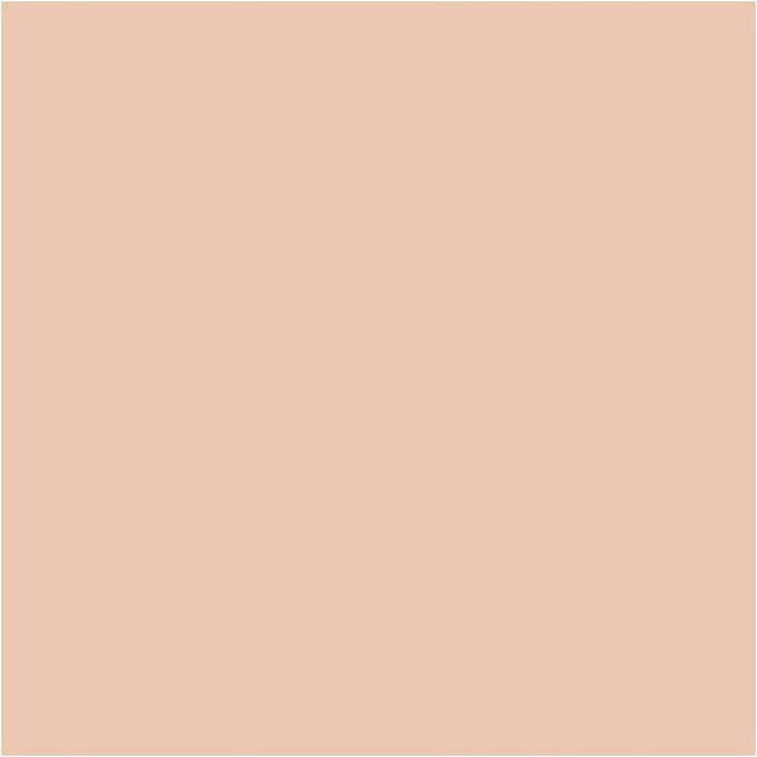 BIC Visa Color Kleurstiften, lijndikte 3 mm, licht beige, 12 stuk/ 1 doos