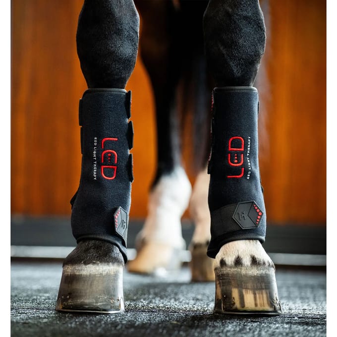 Lichttherapie peesbeschermers voor paarden Horseware (x2)