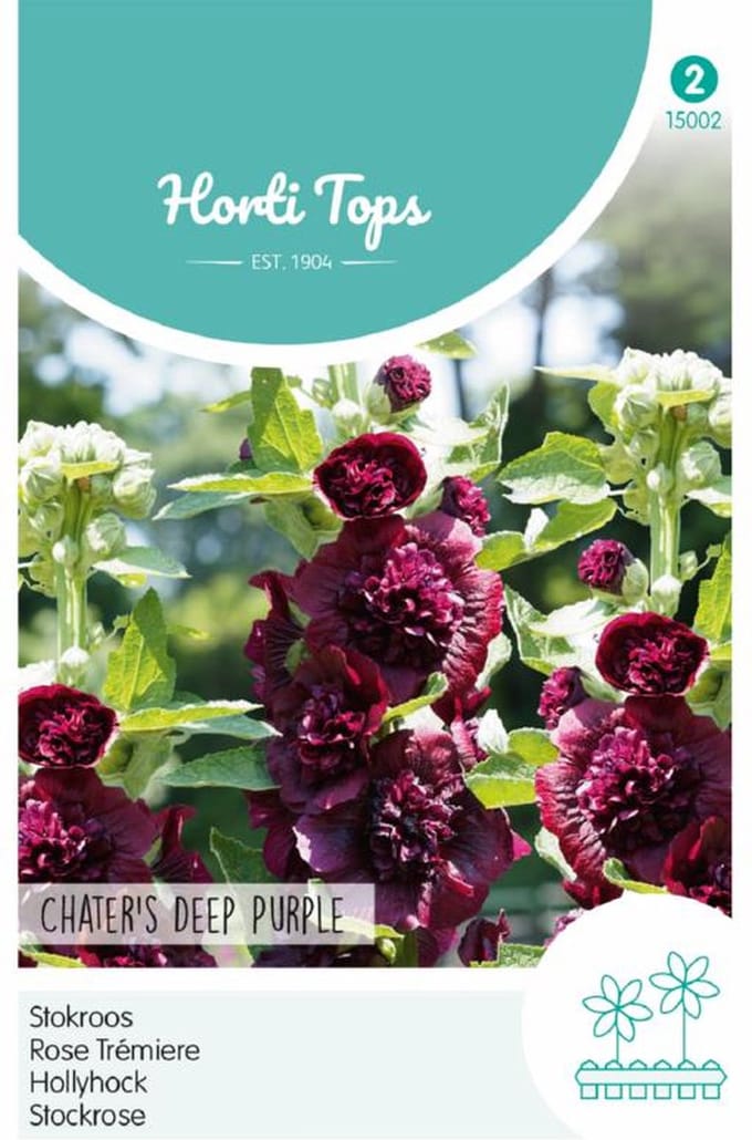 Stokroos Chater's Deep Purple (Alcea rosea)