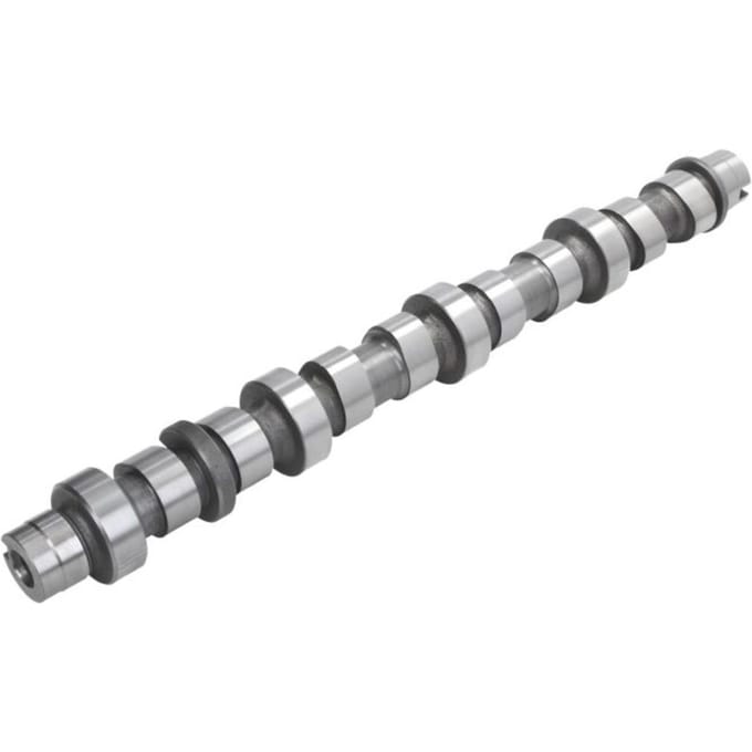 Nokkenas  AE CAM949