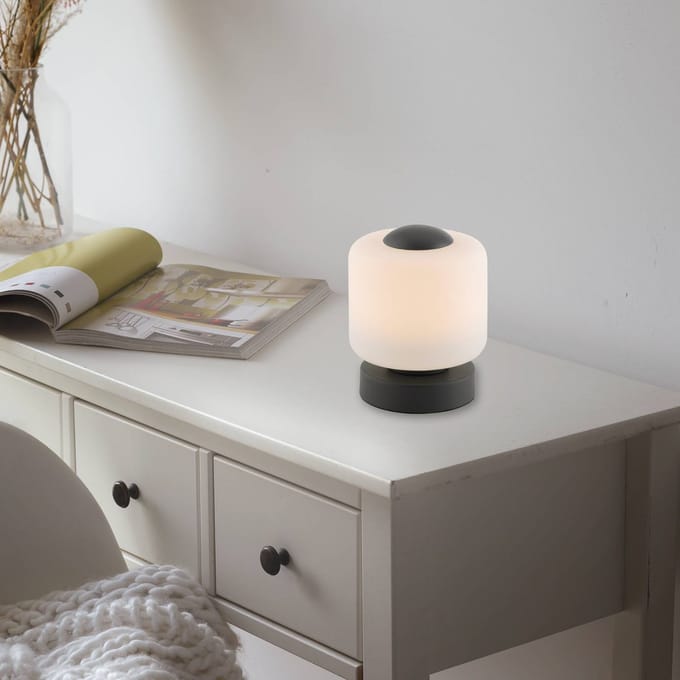 Paul Neuhaus LED tafellamp Bota, antraciet, glas, dimbaar