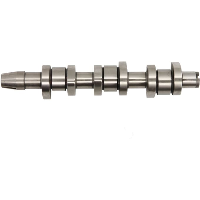 Nokkenas  AE CAM995