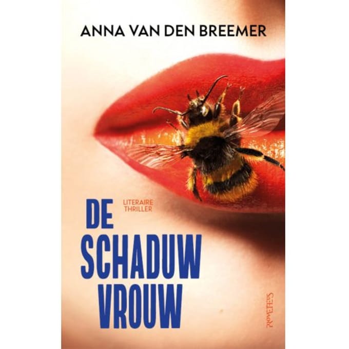 De Schaduwvrouw - Anna van den Breemer