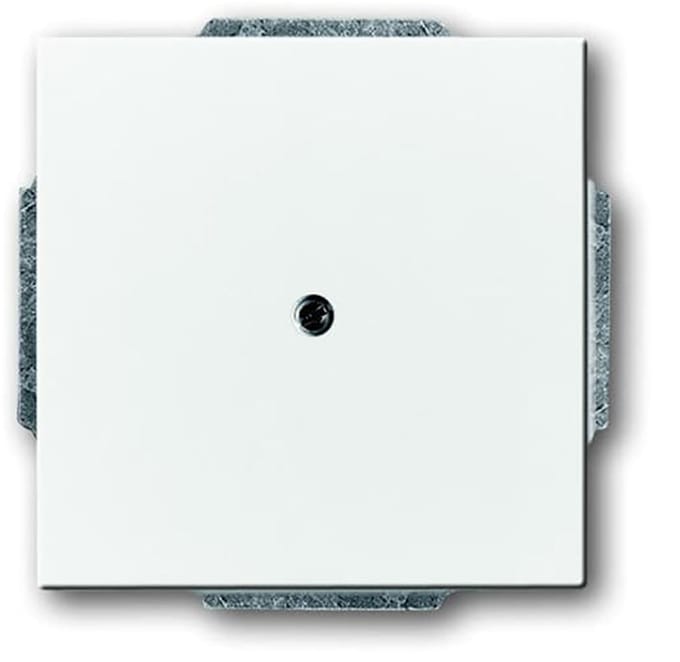 ABB Busch-Jaeger Future/Solo Bedieningselement/Centrale Plaat Schakelmateriaal - 2CKA001710A3161 - E2EYD