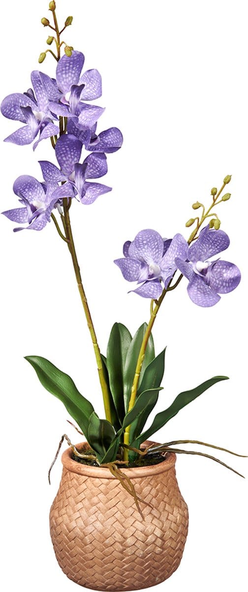 Kunstplant wilde Orchidee 2-tak lila H53cm - HTT Decorations kunstplanten