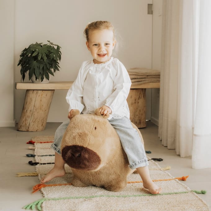 Wild & Soft Soft Bouncies Skippydier – Capibara