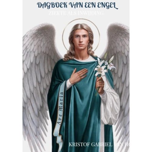 Dagboek Van Een Engel - Kristof Gabriel Van Hooymissen