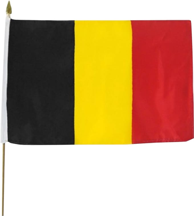 Vlag op stok - België - Stof - 30x45cm
