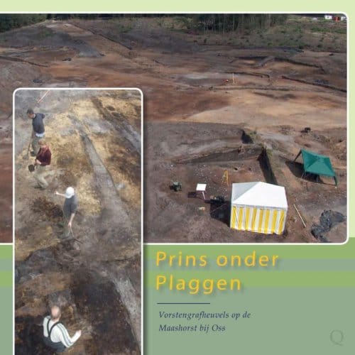 Prins Onder Plaggen - Quadrant-Collectie - Evert van Ginkel