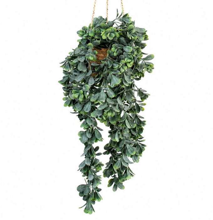Kunstplant Crassula XL in hangmand naturel L140cm