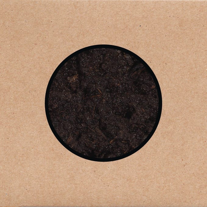 Swans - Birthing (2 CD)