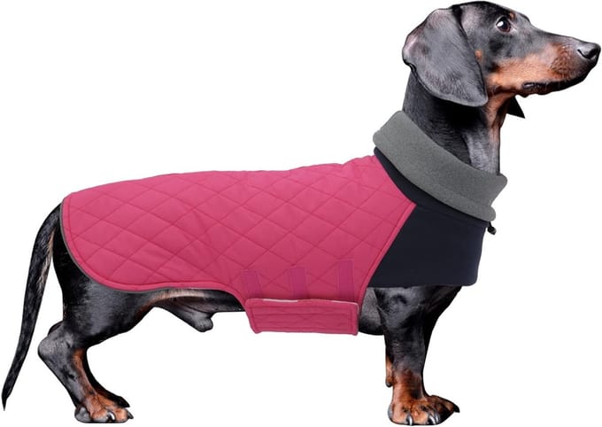 Warm Winterjacket voor Teckels, Waterdicht en Winddicht, Hoogsluitend Ontwerp voor Kleine Honden - Roze - M